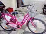 Cycle LADYBIRD