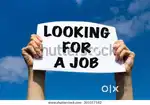 BACK OFFICE JOB SALARY