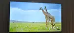 4k Lg smart tv brand new 55 inch lene wale sampark kare
