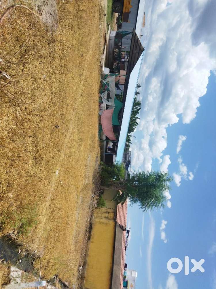 Land for sale (6 1/4 scent)