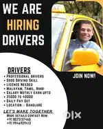 Professional car drivers wanted