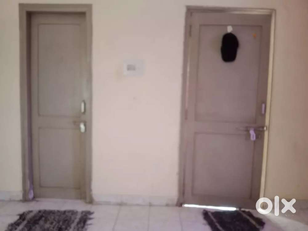 1-RK LUXURIOUS ROOM-KITCHEN Available Now