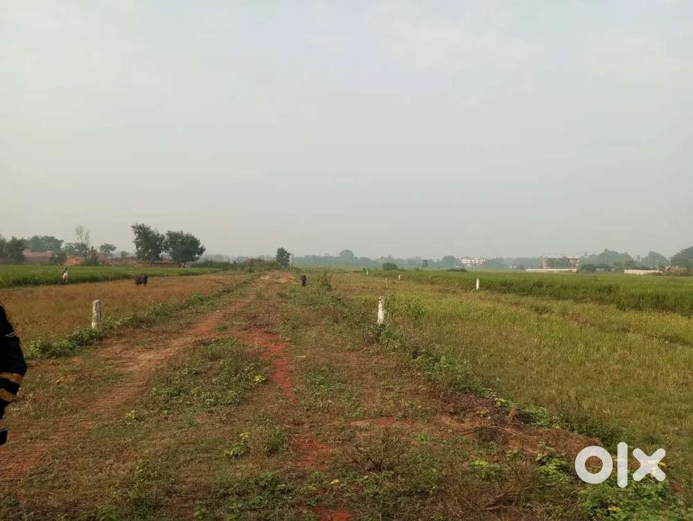 Investment plot in bihta -Bikram road