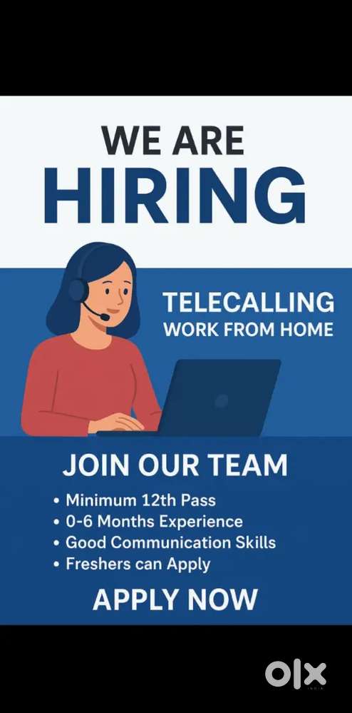 Customer support  executive