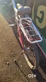 Boys cycle