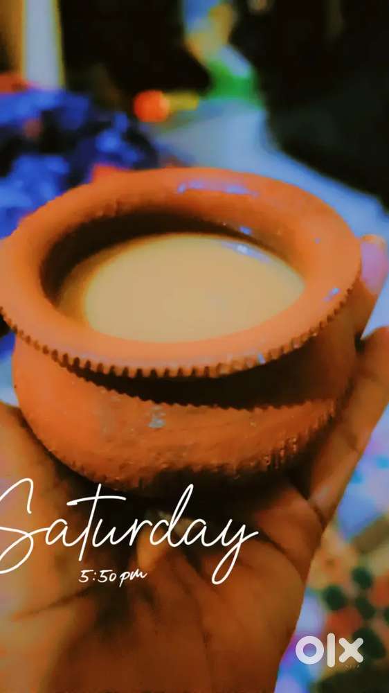 Home made Cook daily students or bachelors and delivery