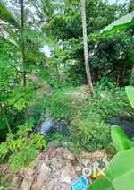 commercial land for sale