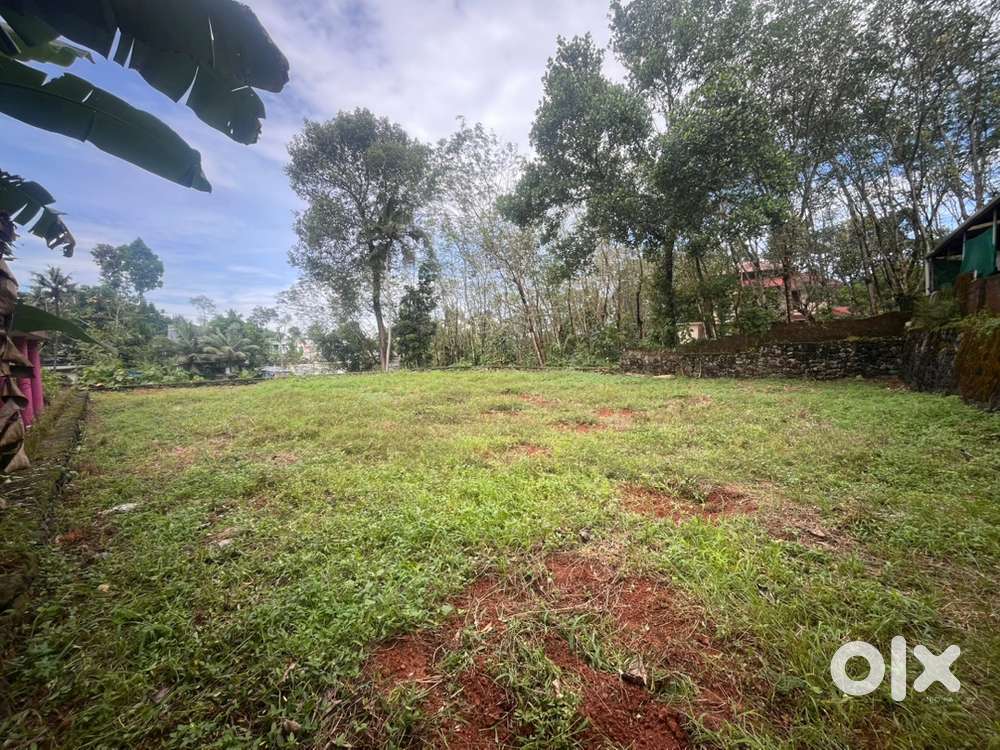 Land sale in pallikkara