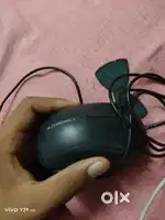 Mouse and hair straightener