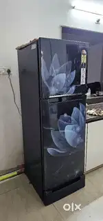 Fridge double door