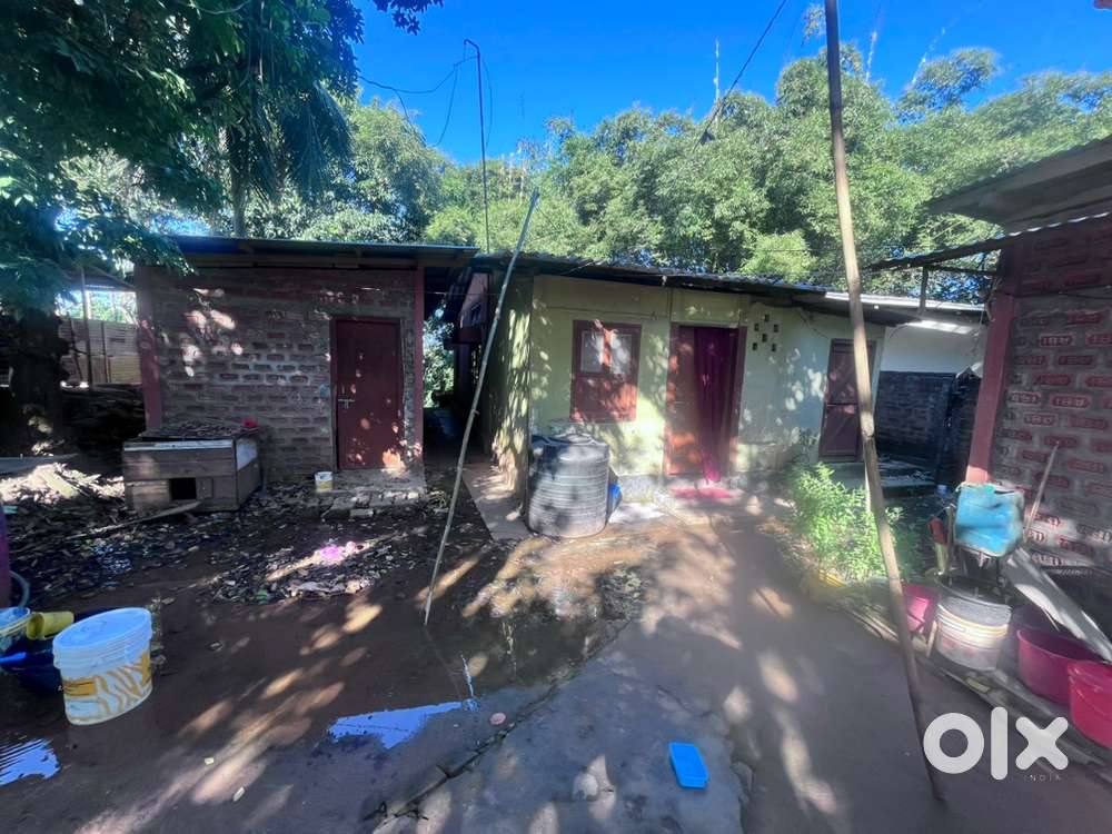 1 katha 13 lessa land with 24/7 ZICA running water.