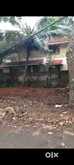 4.2 cent land for sale Pettah pallimukku road
