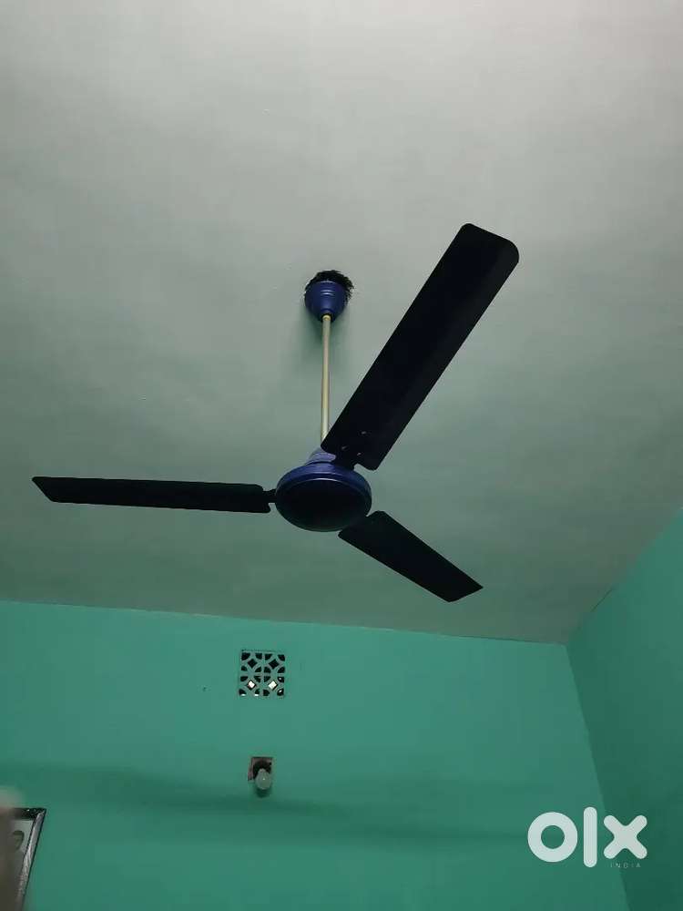 Ceiling FAN