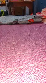 Bed matress ( gadda ) + pillow free