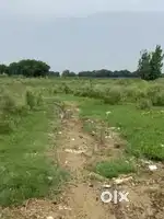 Jewar area