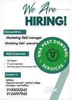Marketing executive