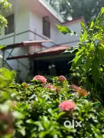 Furnished room and hall near NSS Engineering College, safe
for girls