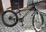 Only one  year old  cycle