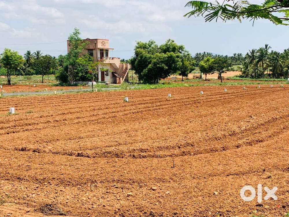 LOW BUDGET PLOT FOR SALE AT ANNUR NRAE