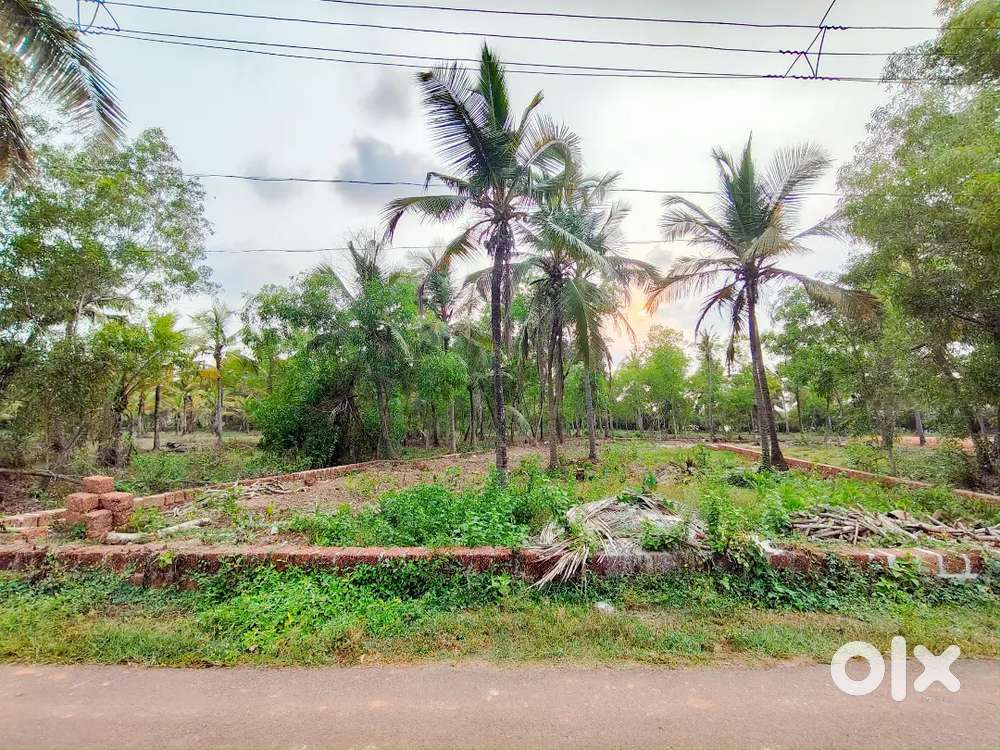 ,plot to sabtm school juma masjid is about 500 meters