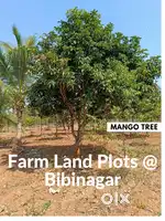 Lowest Price Farm Land Plots in HMDA Limits @ BibiNagar Mogdumpally