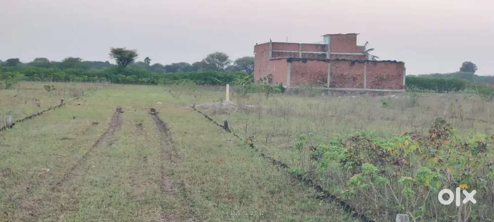 Plot and land in mahoba for sell