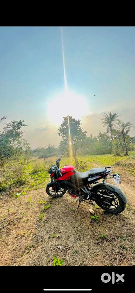 Pulsar NS 160 Twin disc