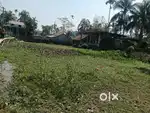 Srikuna near power gate 2.5 bigha plot for sale
