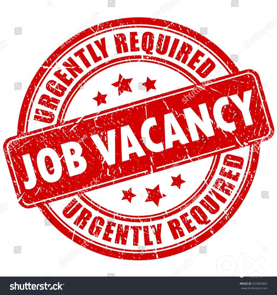 Urgent job vacancy for backoffice