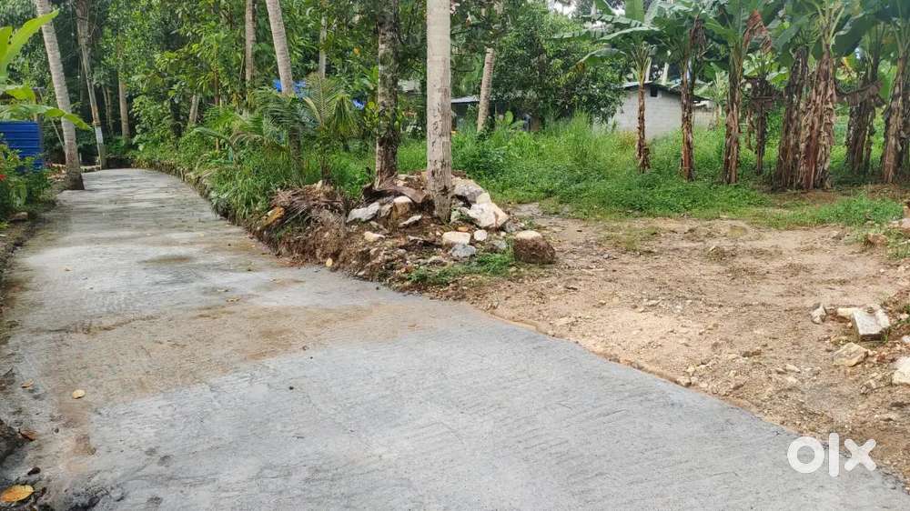 Residential plot for sale at Sreekaryam