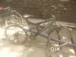Cycle is in good condition breaks not working shokup is good gear jam