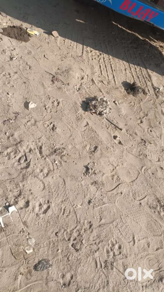 I'want to my plot in rajiv gandi chokha