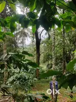 28 cent land for sale