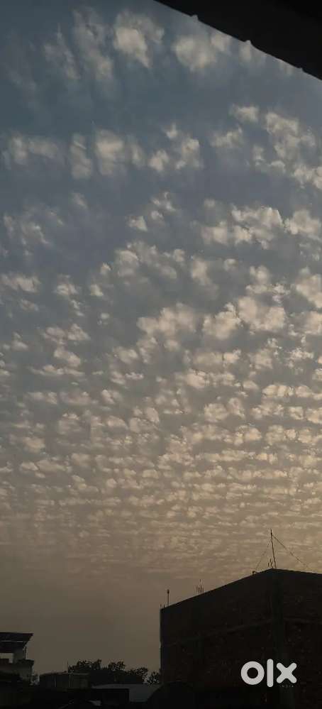 bhk in house without owner and 2 bhk also available in same house