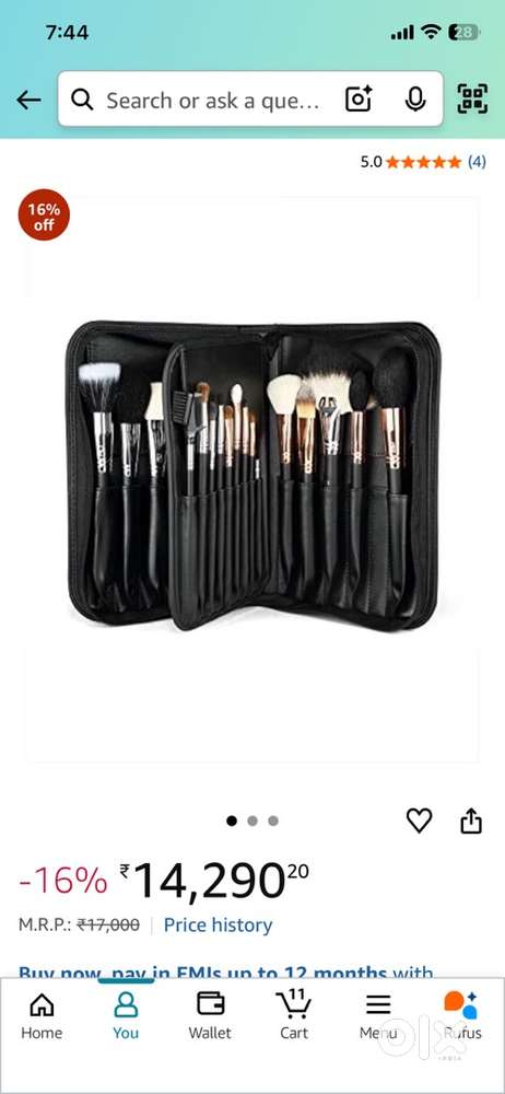 Professional make-up brushes