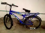 CYCLE Sunbird