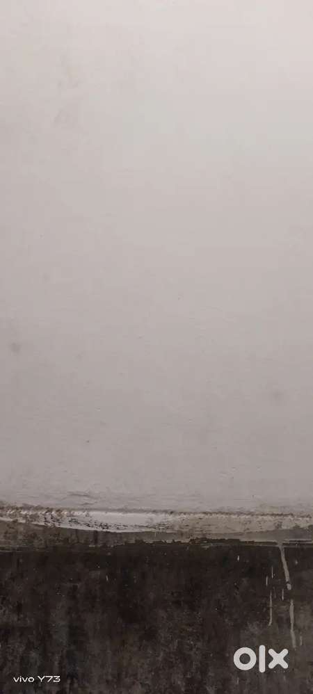 Hi my name yogi I'm sharing my room