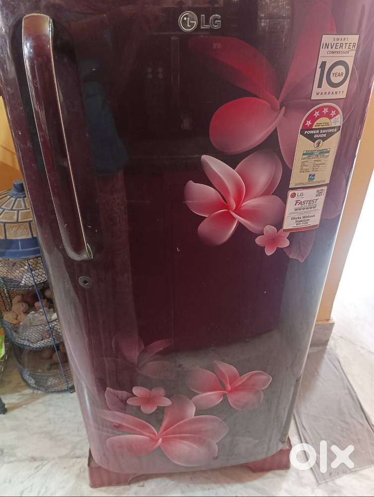 Lg single door 180 liters with stand