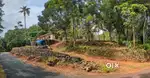 Plot for sale - Marikal Near Mallappaly/ Karukachal