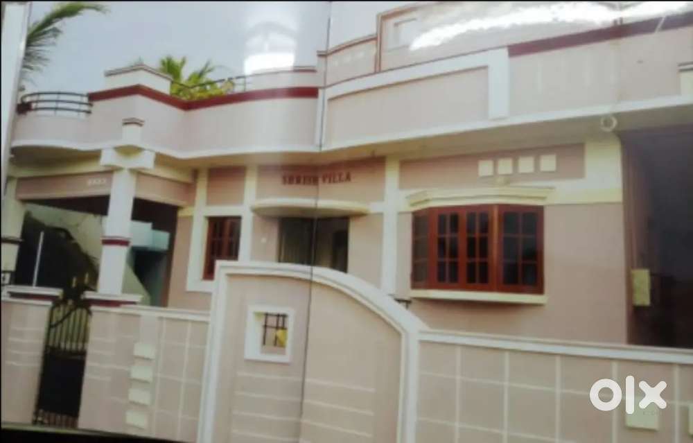 Working  bachelors  can contact