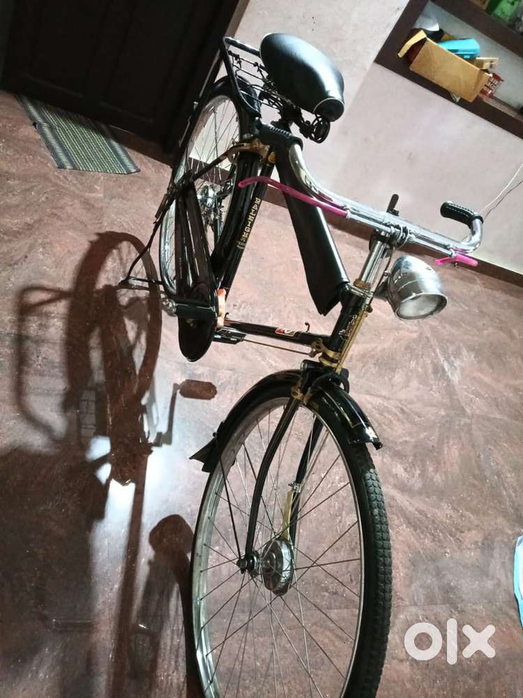 Raleigh hub brake cycle