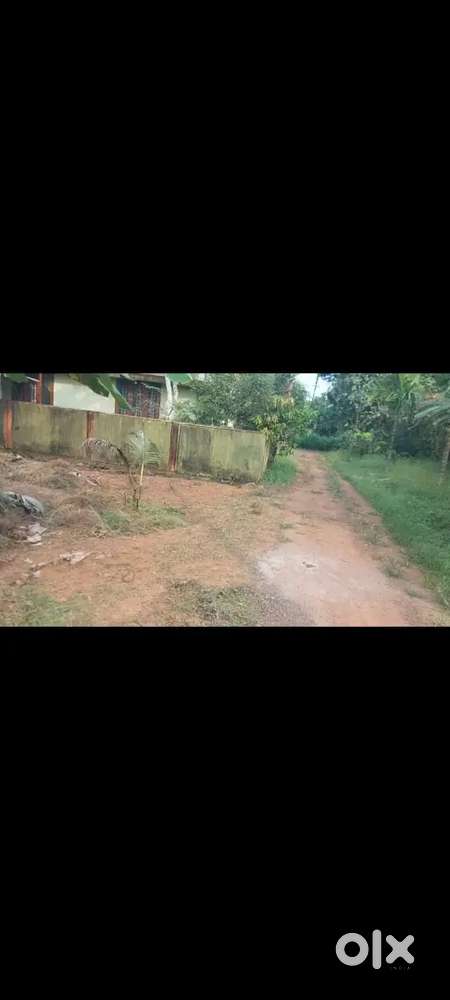 4.75 cent square plot for sale near Pattimatom - Pancode- 10th mile