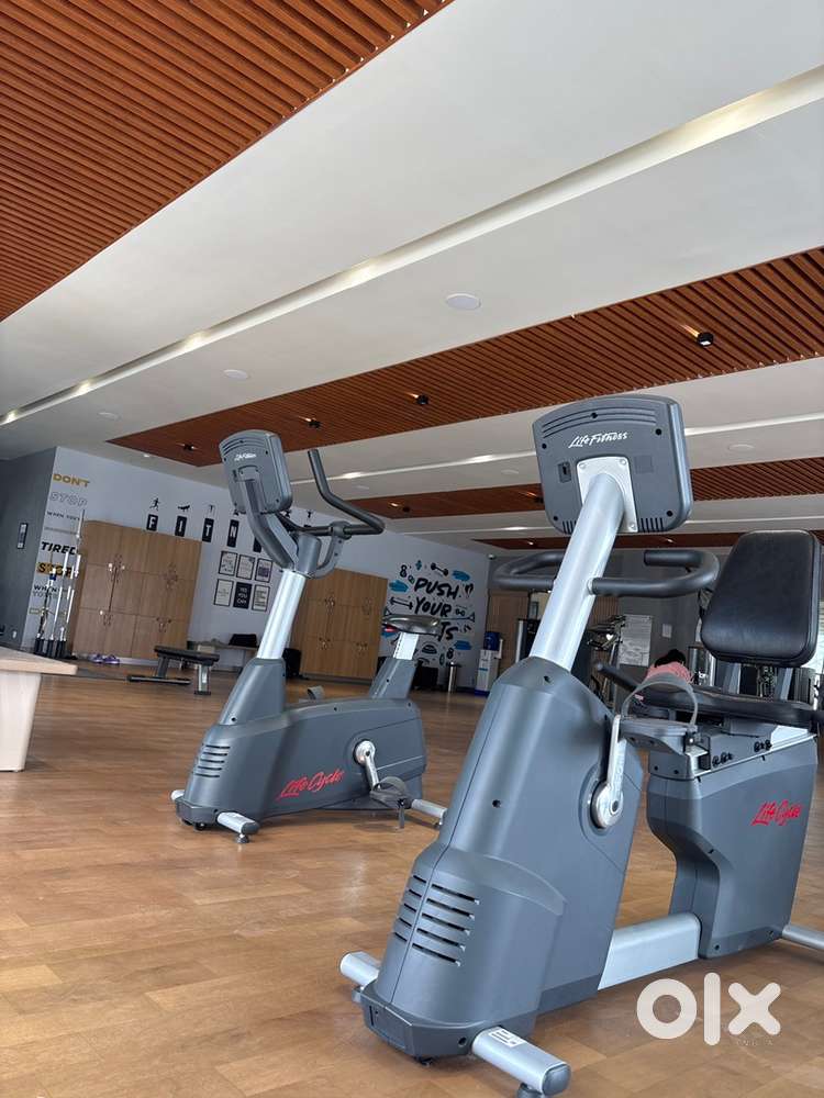 Receptionist at the gym with good english skills