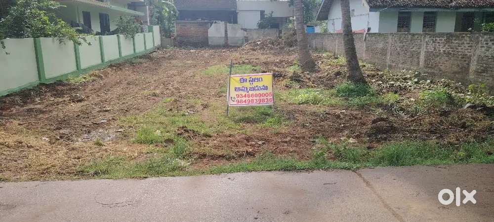 All facilities site RAZOLE