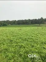 70 cent land total 27 lakh only