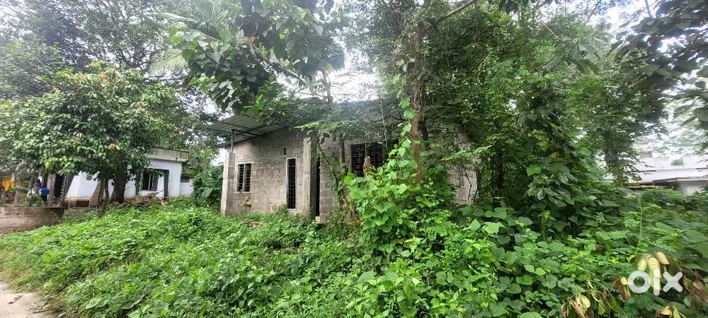 10 cent plote  venkotta madappally