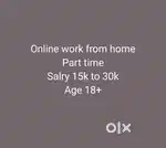 Online work from home