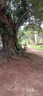 4 cent plot for sale.lorry site