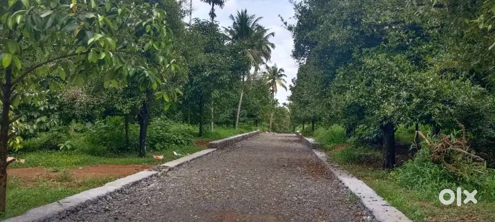 YOU PERFECT ADDRESS -JUST NEAR KARUKUTTY APOLLO HOSPITAL  WITH IN 2KM