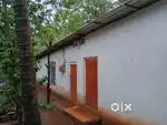 Accommodation in quite surrounding in Tivim. 500mtrs  from main road